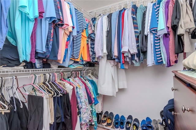 view of walk in closet