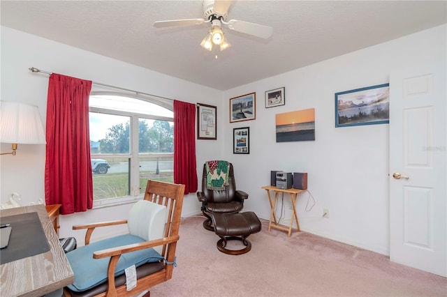 office space with ceiling fan, carpet floors, and a textured ceiling