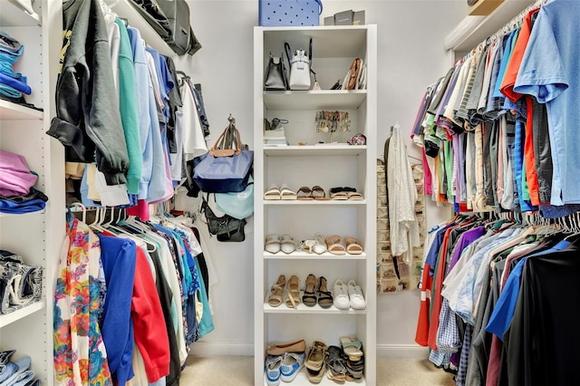 spacious closet featuring carpet