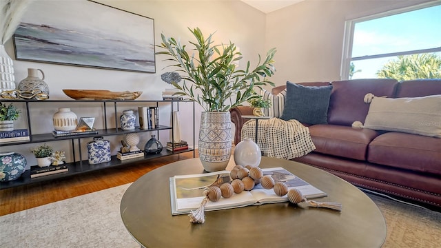 living room featuring dark wood-type flooring