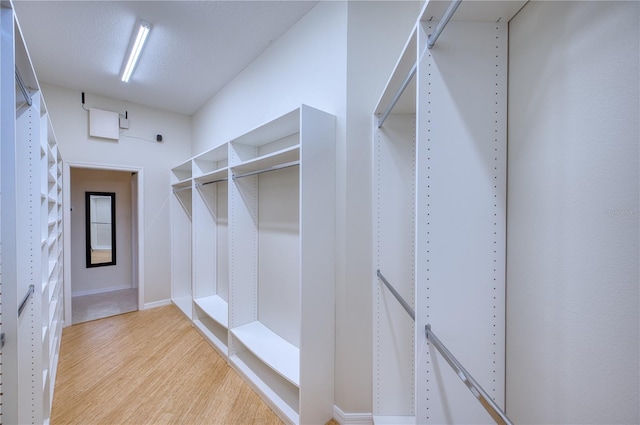 spacious closet featuring light wood-type flooring