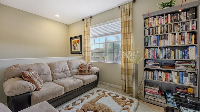 living area featuring carpet floors