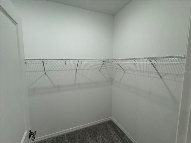 walk in closet featuring carpet flooring