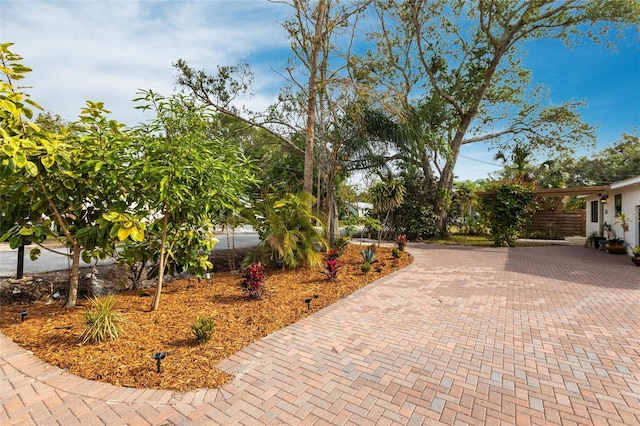 2826 Marlette St, Sarasota, FL 34231 - photo 4