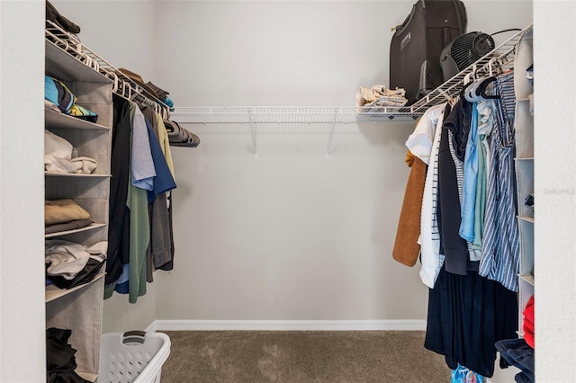 spacious closet with carpet