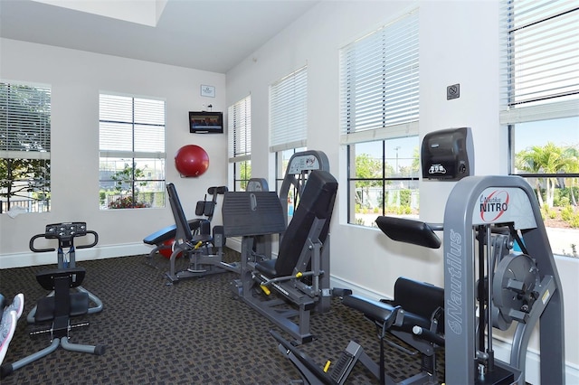 gym featuring plenty of natural light and carpet floors