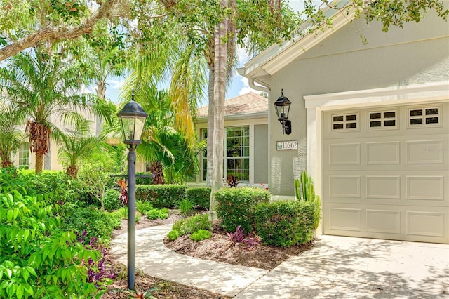 11662 Old Cypress Cv, Parrish, FL 34219 - view of exterior entry featuring stucco siding, concrete driveway, and an attached garage