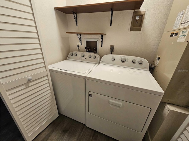 laundry room featuring dark hardwood / wood-style flooring and separate washer and dryer