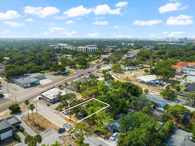 bird's eye view