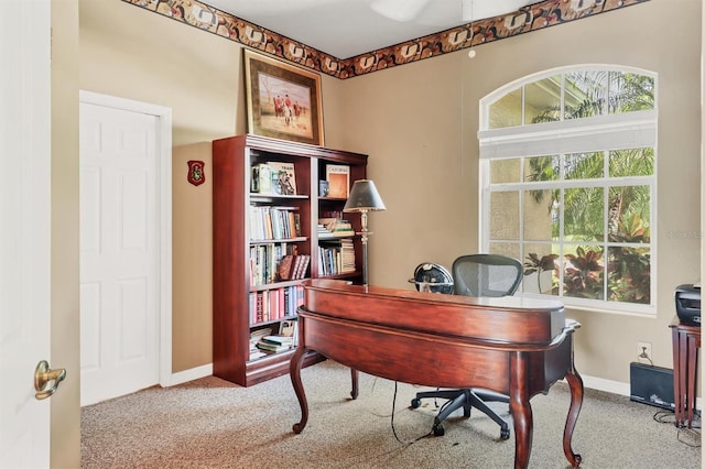 2773 Harvest Dr, Sarasota, FL 34240 - carpeted office with baseboards