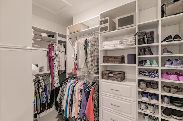 view of spacious closet