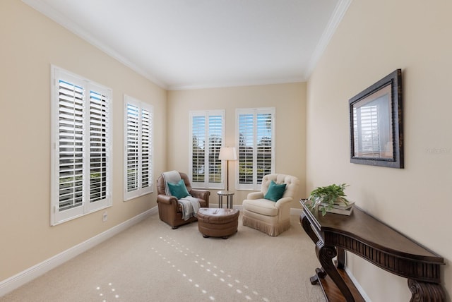 living area featuring ornamental molding and carpet