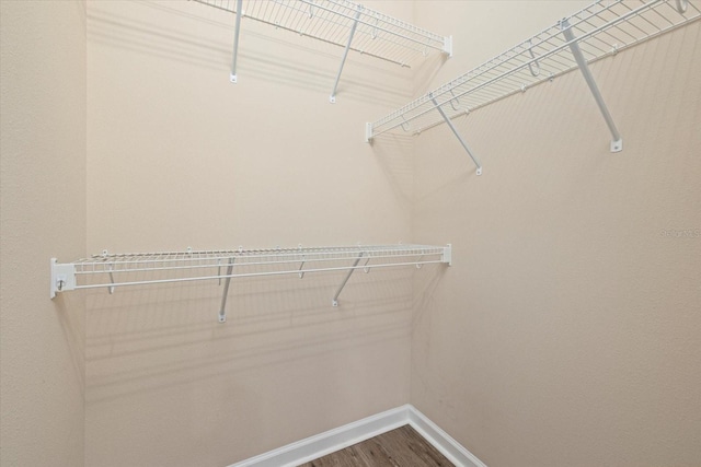 walk in closet featuring hardwood / wood-style flooring