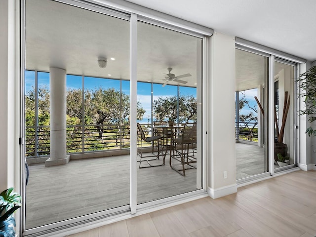 doorway featuring hardwood / wood-style flooring, floor to ceiling windows, and ceiling fan