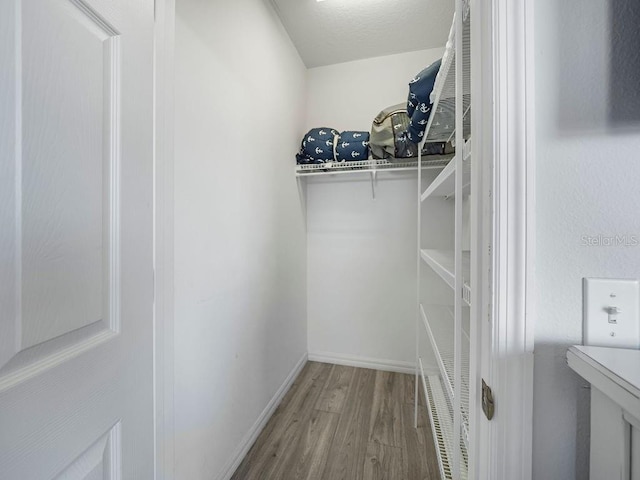 spacious closet with hardwood / wood-style flooring