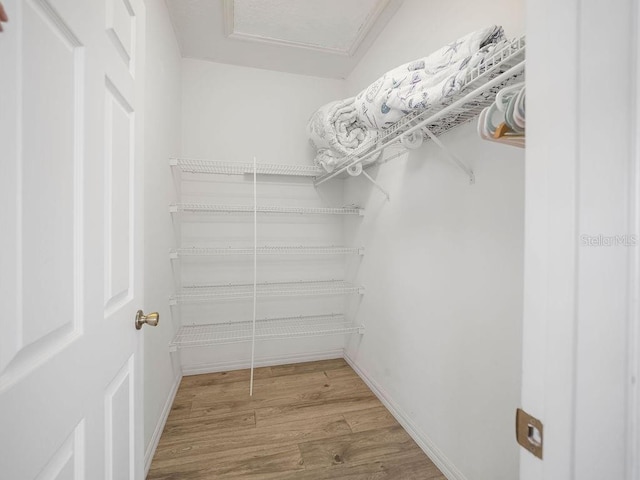 walk in closet with wood-type flooring