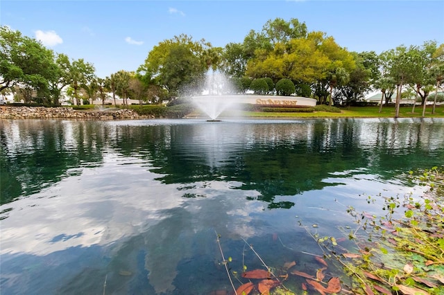 view of water feature