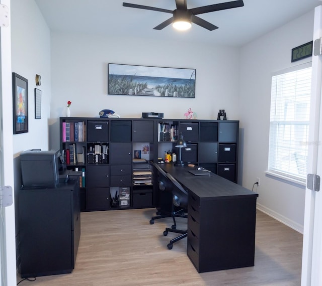 home office with hardwood / wood-style flooring, a wealth of natural light, and ceiling fan