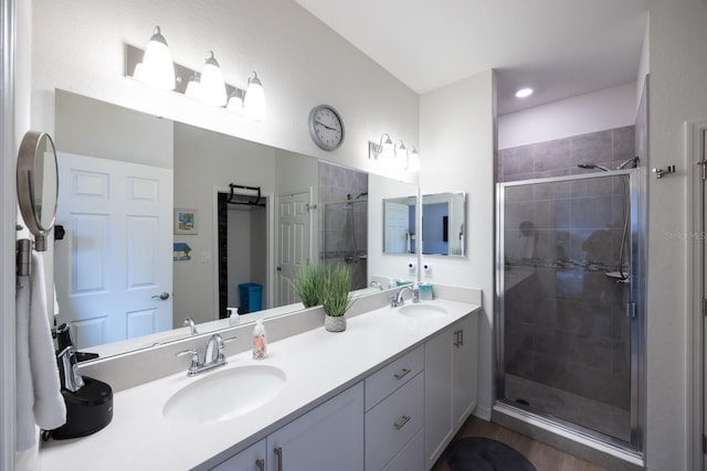 bathroom with vanity and a shower with shower door