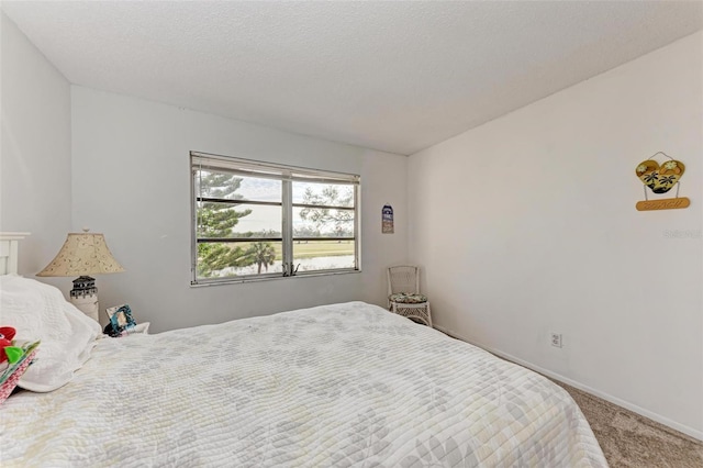 bedroom with carpet floors and a textured ceiling