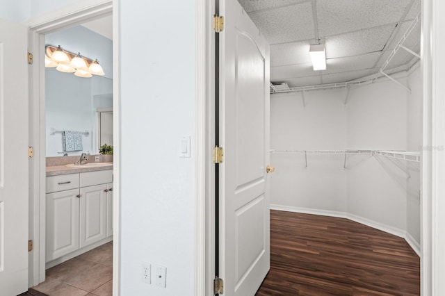 walk in closet with sink, a paneled ceiling, and hardwood / wood-style floors