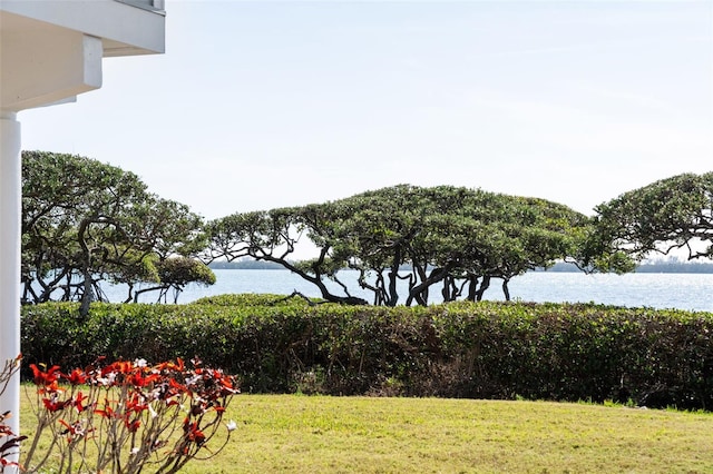 view of yard with a water view