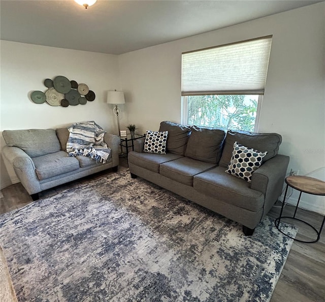 living room with dark hardwood / wood-style floors