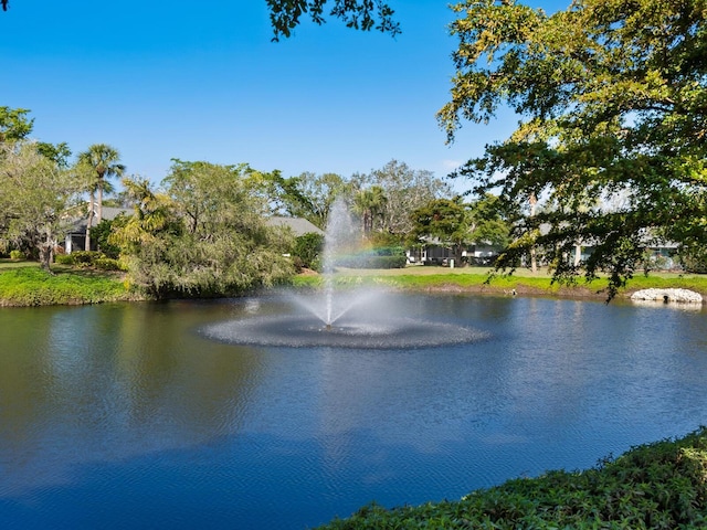 property view of water