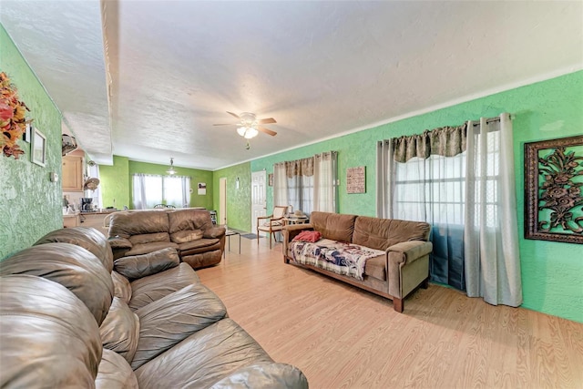 living room featuring ceiling fan and light wood-type flooring