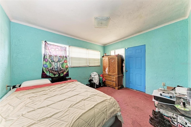 bedroom featuring carpet flooring