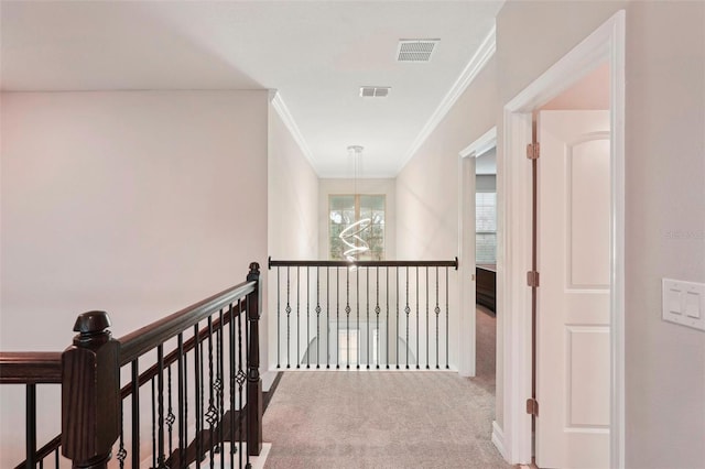 hall featuring ornamental molding and carpet flooring