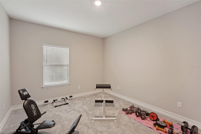 exercise room featuring carpet floors