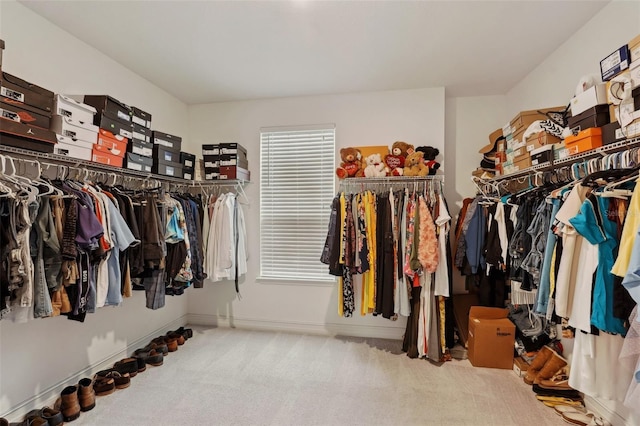 spacious closet with carpet flooring