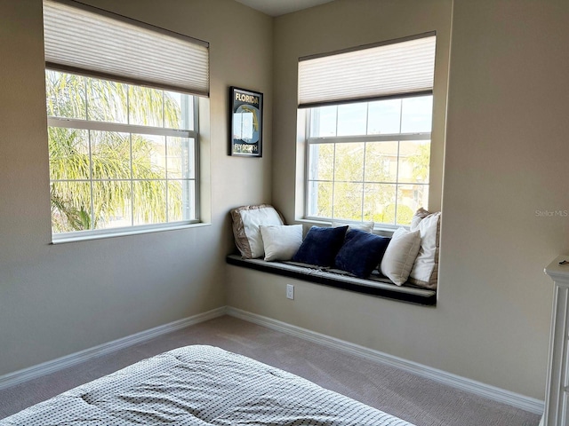 bedroom featuring carpet and multiple windows