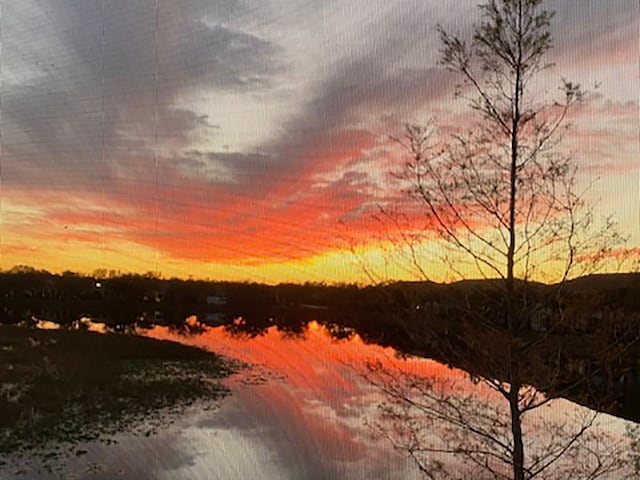 view of nature at dusk