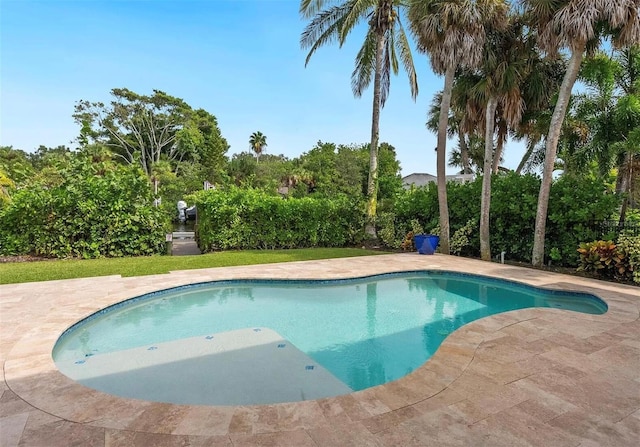 view of pool featuring a patio