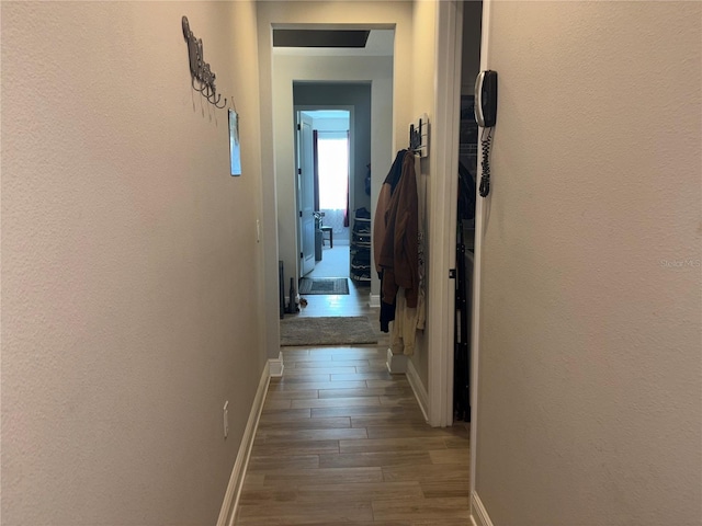 corridor with dark hardwood / wood-style flooring