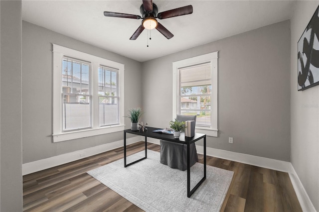 1010 E Lake Ave, Tampa, FL 33605 - office with plenty of natural light, baseboards, and dark wood-type flooring