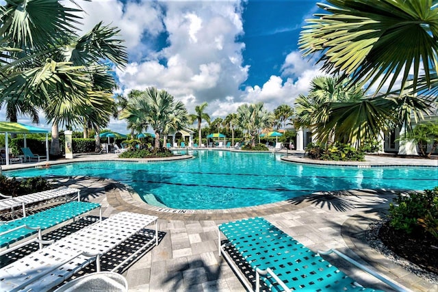 view of swimming pool