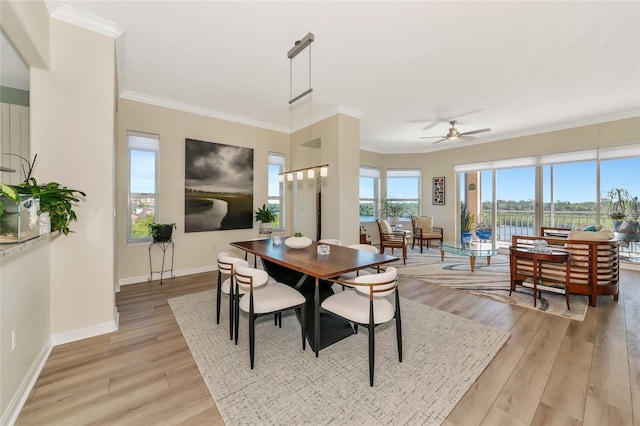 dining area with crown molding, ceiling fan, and light hardwood / wood-style flooring