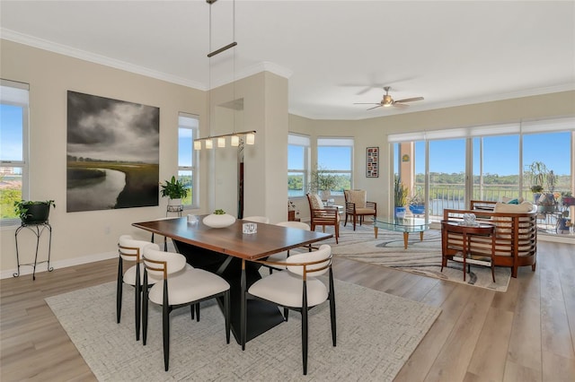 dining space with ceiling fan, ornamental molding, and light wood-type flooring