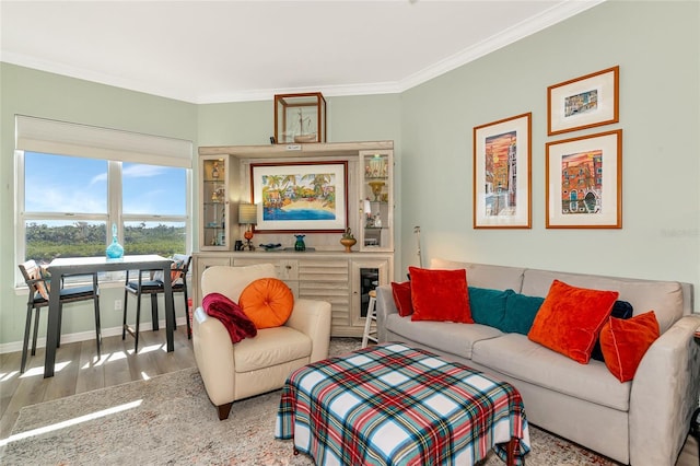 living room featuring crown molding and hardwood / wood-style flooring