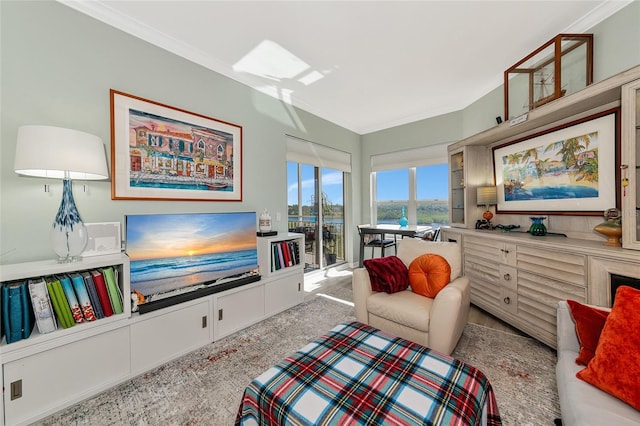 living area featuring ornamental molding