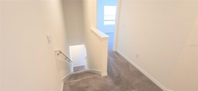 stairs with carpet flooring