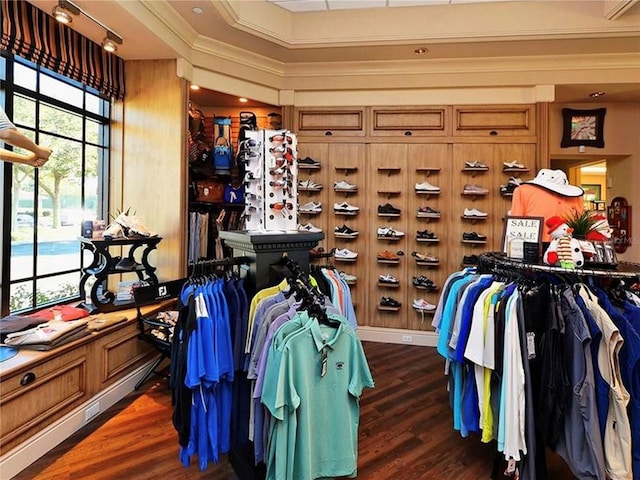 walk in closet with dark wood-type flooring