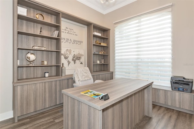 office space with ornamental molding and dark hardwood / wood-style flooring