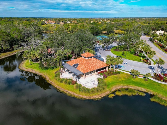 bird's eye view with a water view