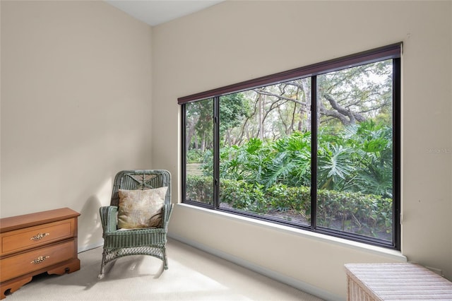 living area with carpet floors