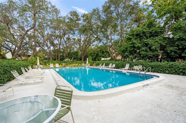 view of pool with a patio area