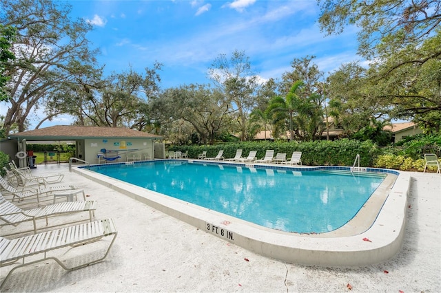 view of pool featuring a patio